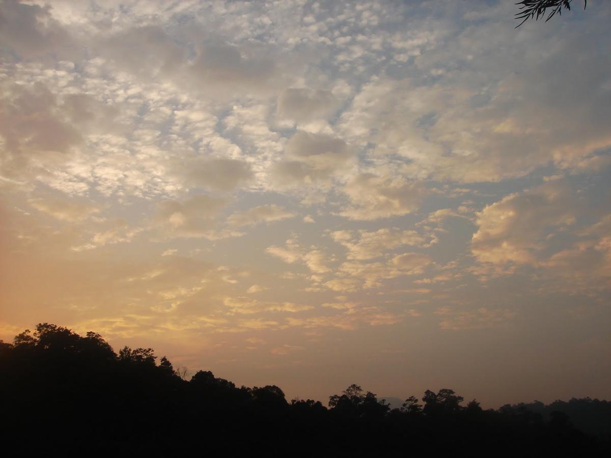 Wild Elephant Eco Friendly Resort Munnar Eksteriør bilde