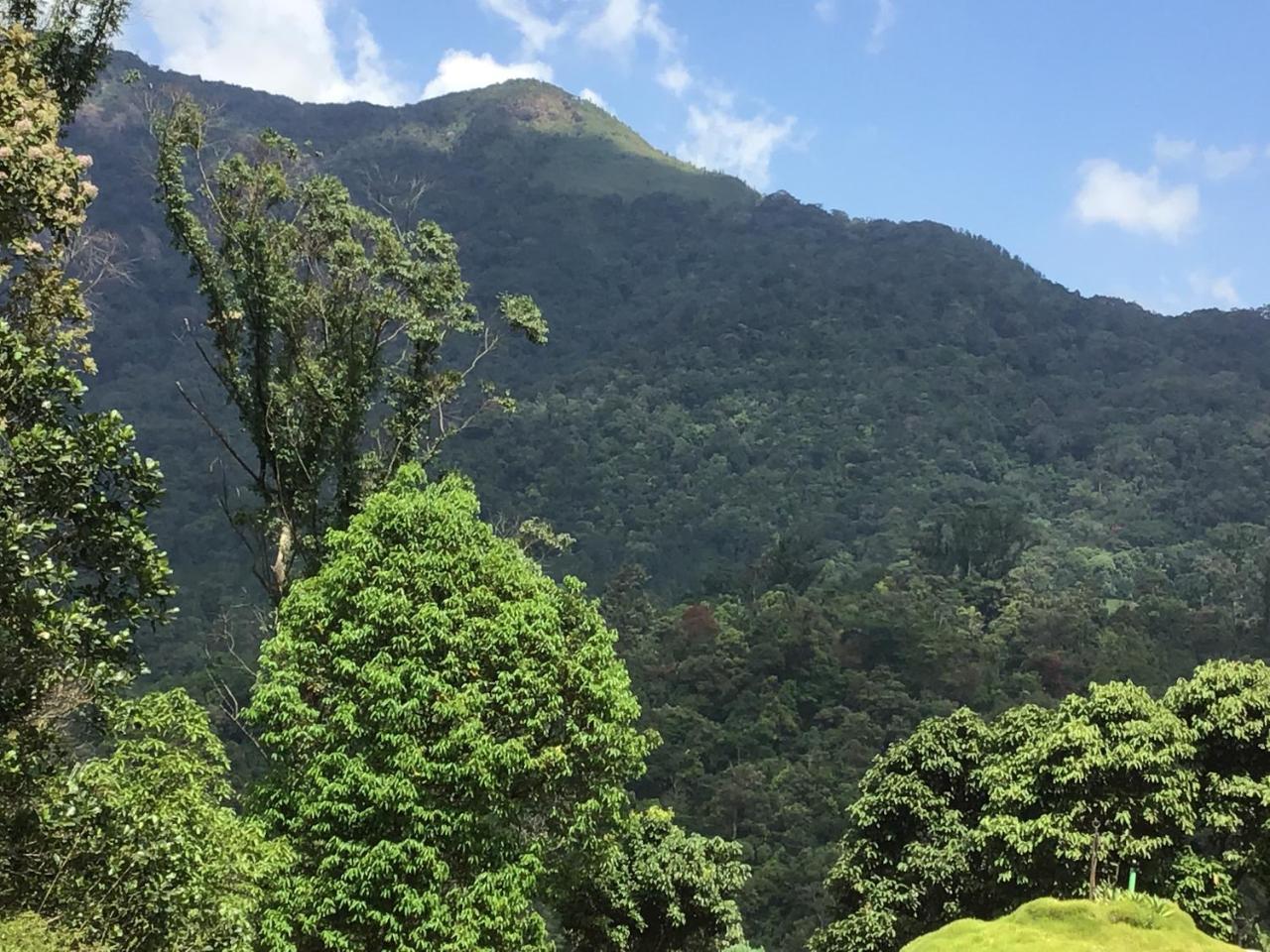Wild Elephant Eco Friendly Resort Munnar Eksteriør bilde