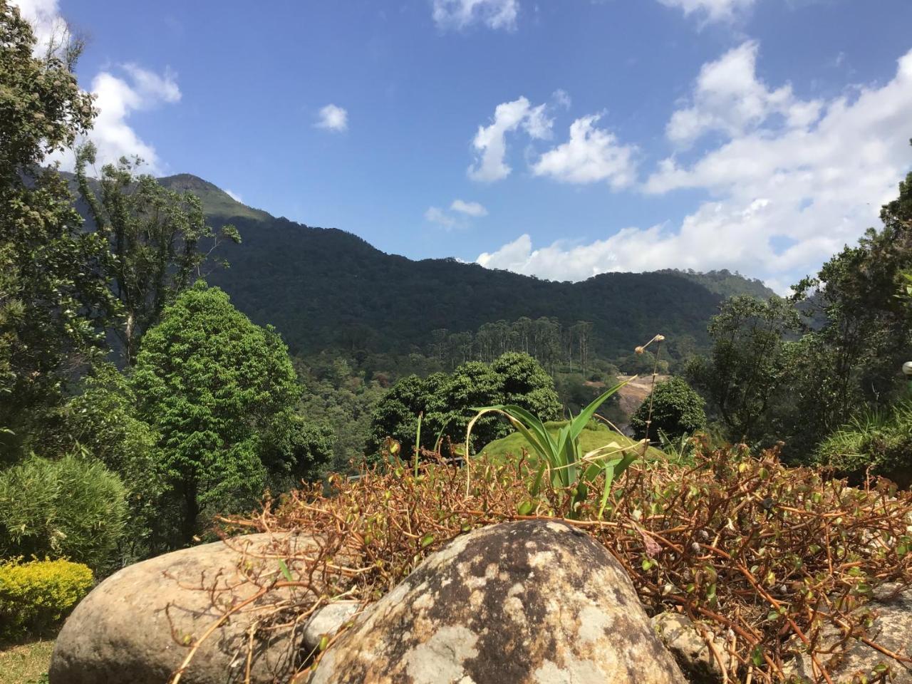 Wild Elephant Eco Friendly Resort Munnar Eksteriør bilde