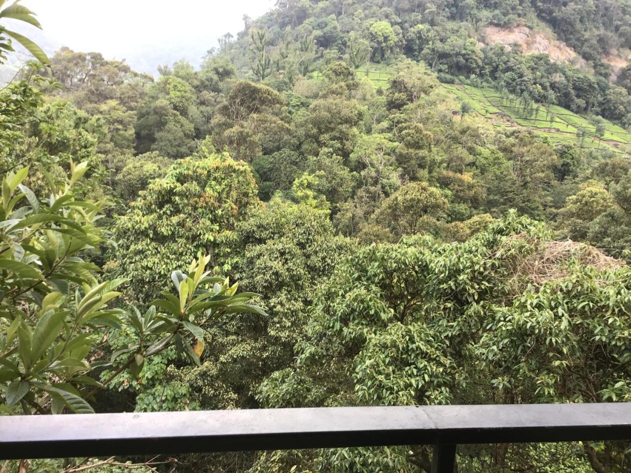 Wild Elephant Eco Friendly Resort Munnar Eksteriør bilde