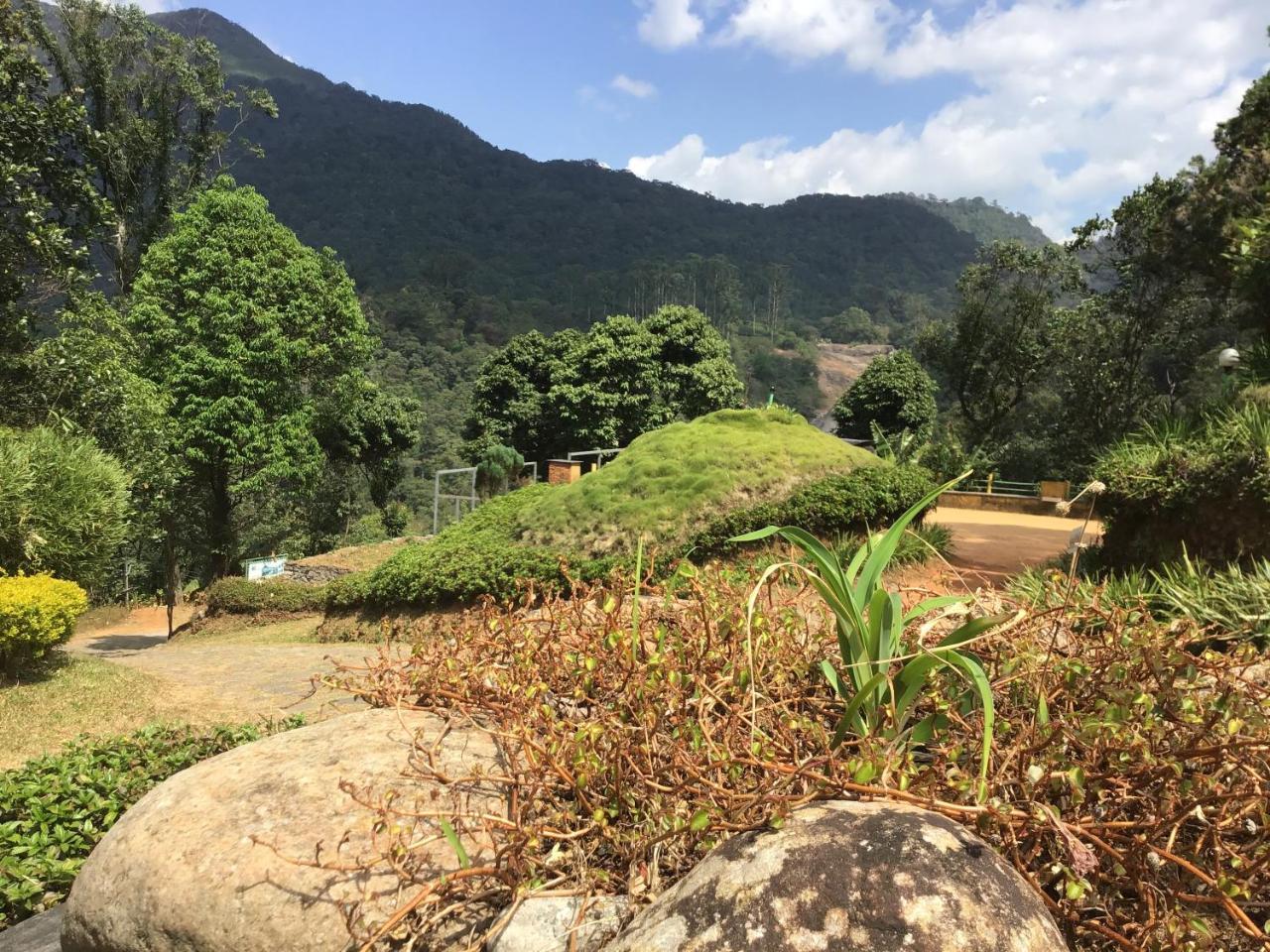 Wild Elephant Eco Friendly Resort Munnar Eksteriør bilde